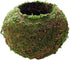 Moss Ball Flower Pot Natural Planter Bonsai Plant Holder Bird Nest for DIY Gardening Home Table Decoration - 15cm...