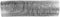 Standard Motor Products DH3 Pre-Heater Hose, Size 1-1/2 x 7 inches, Expandable to 20 inch Assorted...