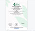 VIGOROUS MOUNTAINS Dried Shiitake Mushrooms for Cooking, Pure Aroma Thin Cap without Stem, Rehydrate Quickly, Soft Texture Gourmet Dried Mushrooms...