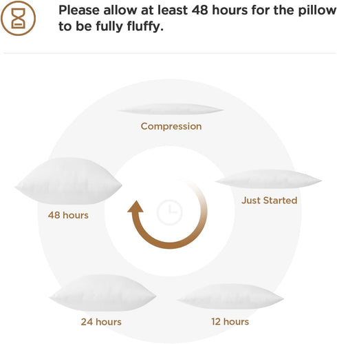 Acanva Polyester Decorative Rectangle Throw Pillow Inserts, Hypoallergenic Form Stuffer Cushion Sham Filler, 16x26, White, 1 Count (Pack of 1)...