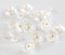 Flower Buttons for Sewing 15/32 Inch (11.5mm) Translucent Blouse Button Craft Scrapbooking White Color Pack of 30pcs...