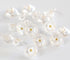 Flower Buttons for Sewing 15/32 Inch (11.5mm) Translucent Blouse Button Craft Scrapbooking White Color Pack of 30pcs...