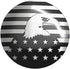 Dial Shifter Trim Plate Etched American Flag Eagle Emblem, Gear Shift Switch Knob Cover Fit for Chrysler Pacifica, Chrysler 200/300, Dodge Durango...