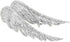 Crystal Angel Wings Brooch Pins,Elegant Rhinestone Feather Wings Lapel Pin Suit Coat Breastpin for Women Men Wedding Party Jewelry Gitfs...