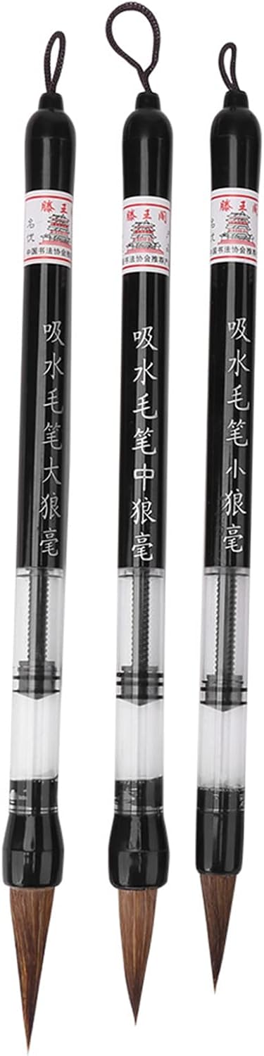 6 Pcs/Set Water Brush Pen, Piston Water Color Brush Chinese Japanese Calligraphy Pen for Beginner Painting Reusable Brush Drawing Pen Art Supplies...