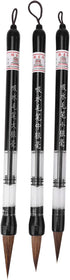 6 Pcs/Set Water Brush Pen, Piston Water Color Brush Chinese Japanese Calligraphy Pen for Beginner Painting Reusable Brush Drawing Pen Art Supplies...
