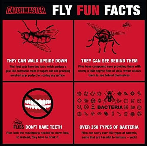 Catchmaster Reusable Fly Trap Outdoor Jar Refill 3-Pack Bait, Bug Catcher and Flying Insect Trap Natural Attractant Refill for Pest Control, Pet S...