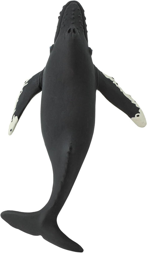 Safari Ltd. Humpback Whale Figurine - Detailed 7" Plastic Model Figure - Fun Educational Play Toy for Boys, Girls & Kids Ages 1+...