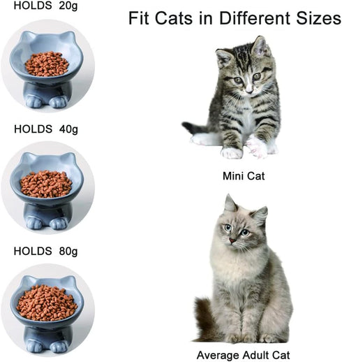 Nihow Elevated Cat/Dog Bowls: 5 Inch Ceramic Raised Cat Food & Water Bowl Set for Protecting Pet's Spine - Feeding & Watering Supplies for Pets - ...
