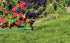 Orbit 55018 Plastic Impact Head for Garden, 1/2-Inch...