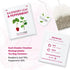 Nutra Tea - Raspberry Leaf & Peppermint Tea - Raspberry Leaf Tea For Pregnancy & Expectant Mothers - 40 Tea Bags - Herbal Tea - (2 Pack)...