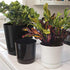Novelty Majestic Full Depth Round Cylinder Pot, Glossy Black, 8-Inch (10088)...