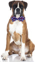 American Flag Dog Collar with Removable Cute Bow Tie Adjustable Patriotic 4th of July Pet Collars Independence Day Large...