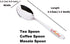 Stainless Steel Spice Box Spoons Set of 12 (Silver)...