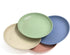 4 Pcs 7 Inch Lightweight Wheat Straw Plates, Unbreakable Dinner Plate, Toddler, Anti-fallen, Dishwasher Microwave Safe Plates (4 colors)...