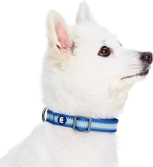 Blueberry Pet Essentials Pack of 2 Reflective Back to Basics Adjustable Dog Collars, Navy Blue, Large, Neck 18"-26"...