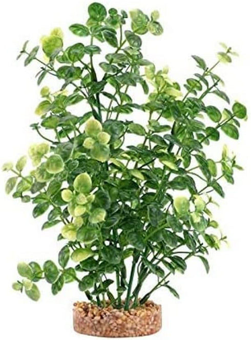 Fluval Aqualife Green Bacopa Plant, Plastic Aquarium Plant Decoration 8 in...