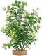 Fluval Aqualife Green Bacopa Plant, Plastic Aquarium Plant Decoration 8 in...