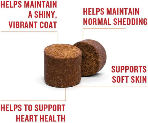 VetIQ Skin and Coat Supplement for Dogs, Helps Maintain Healthy Skin and Shiny Coat, Hickory Smoke Flavor Dog Chew, Made in The USA, 60 Count...