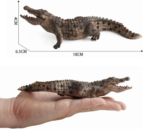 2 Pcs Simulated Crocodiles Model Figure Toy, Realistic Alligator Figurines Collection Playset Science Educational Props...