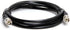 Cmple RG59U 6 Feet BNC Male to BNC Male, 75 Ohm, Coaxial BNC to BNC Video Cable, 6FT Black...