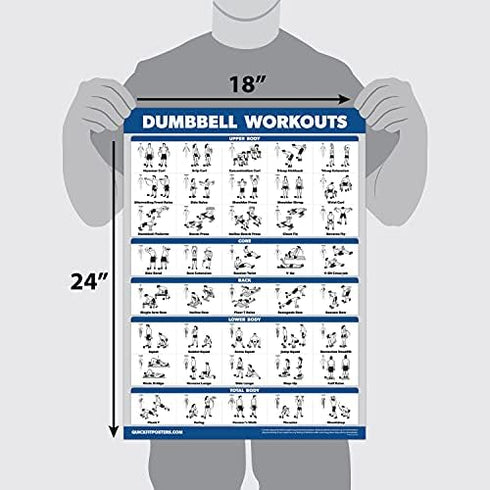 Palace Learning 3 Pack - Dumbbell Workouts + Barbell Exercises + Cable Machine Workouts - Set of 3 Workout Charts (LAMINATED, 18” x 24”)...