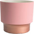 The HC Companies 5 Inch Sprite Round Planter - Small Plastic Plant Pot with Drainage for Indoor Outdoor Plants, Blush...