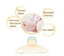 Nipple Shields for Nursing Newborn | Four Nipple Shields with Two Carrying Cases and Measuring Card | (20mm) Contact Nipple Shields for Breastfeed...