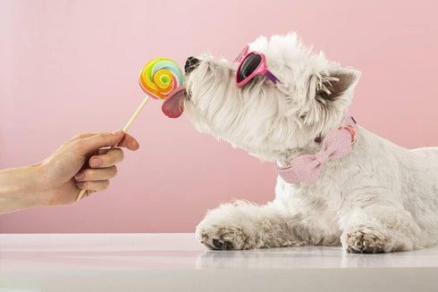 ARING PET Bowtie Dog Collar-Cotton Pink Dog Collar with Bow, Fancy Wedding Girl Dog Collars Pet Collars Gifts with Metal Buckle...
