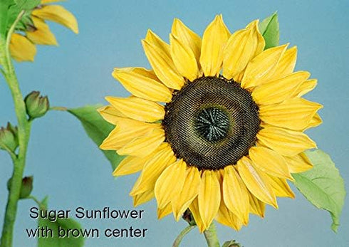 Sunflower Petal Cutters (Set of 4 sizes)...