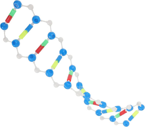 Dna Double Helix Model Components Educational Teaching Model Dna Teaching Aids Molecular Model Self-assembling Model Dna Model Kit Biology Dna Mod...
