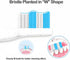 Replacement Toothbrush Heads Compatible with fairywill Electric Toothbrush, Model FW-507/FW-508/2011/959/917/551, D1/D3/D7/D8, W Shape Design Plan...
