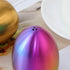 Egg Spice Jar, 2 PCS Stainless Steel Pepper Shaker, Salt Pot by Buy THINGS!(Silver+Rainbow)...