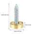 TOP-VIGOR 8pcs 16mm Mirror Screws, Stainless Steel Brushed Screws Cap Cover Nails Fasteners for Decorative Mirror...