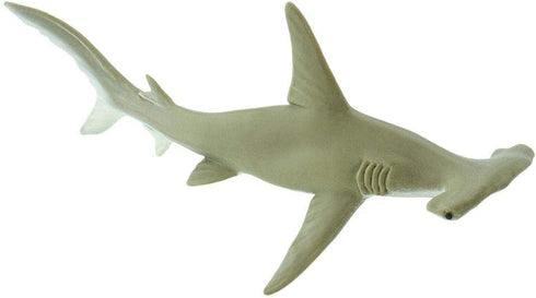 Safari Ltd. Hammerhead Shark Figurine - Detailed 6.5" Plastic Model Figure - Fun Educational Play Toy for Boys, Girls & Kids Ages 1+...