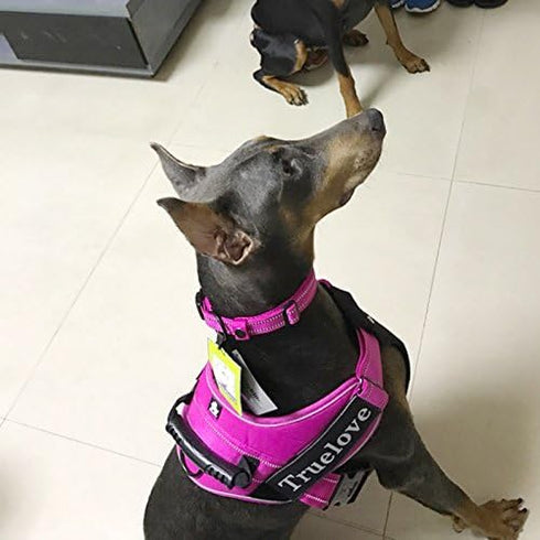 Creation Core Reflective Dog Collar with Ring Breathable Mesh Soft Padded Adjustable Nylon Pet Collar 1" Wide, Pink XXL...
