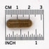 Complete Tissue and Bone Formula Dr. Christopher 100 VCaps 440 MG EACH...