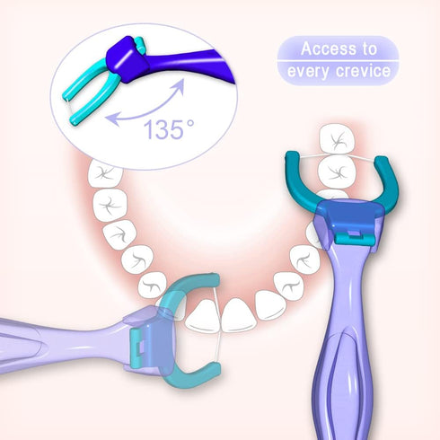 Evolutionary Clean Dental Flossers, Kit of Refills Plus Mid-length Handle (3 Handles + 300 Refills)...