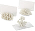 Kate Aspen Seven Seas Coral Place Card Holders - Set of 6 Coastal-Inspired Table Place Cards with Holders - Beach Wedding Decorations - Nautical T...