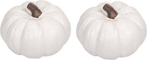 Elanze Designs Classic White 6 inch Resin Harvest Decorative Pumpkins Pack of 2...