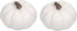 Elanze Designs Classic White 6 inch Resin Harvest Decorative Pumpkins Pack of 2...