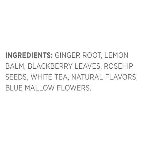 Tea Forte Tea Over Ice White Ginger Pear Premium Organic Caffeinated White Iced Tea Blend, 5 Count Individually Wrapped Handcrafted Pyramid Infuse...