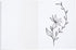 Paper Junkie 24 Pack Unlined Journals Notebooks, Blank Books for Kids To Write Stories for Students, Teachers (White, 4.3x5.5 In)...