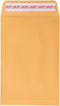 JAM PAPER 6 x 9 Open End Catalog Envelopes with Peel and Seal Closure - Brown Kraft Manila - 50/Pack...