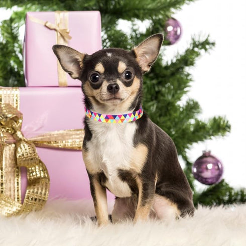 Cute Dog Collar for XS Small Medium Large Dogs, Soft Nylon Pet Collar,3D Print Multicolor Patterns collars Adjustable for dogs Girl Boy Puppy Walk...