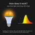 2 Pack LED Amber Light Bulbs,7W A19 1800K Warm Light Bulbs for Sleep Light Bulb,Blue Light Blocking Light Bulbs 60 Watt Equivalent for Healthy Sle...