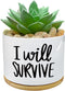 I Will Survive - Funny White Ceramic Engraved Mini Succulent Cactus Planter Pot, 1 Pack 3.5 inch Succulent Indoor Flower Plant Pots with Bamboo Tr...