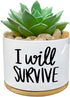 I Will Survive - Funny White Ceramic Engraved Mini Succulent Cactus Planter Pot, 1 Pack 3.5 inch Succulent Indoor Flower Plant Pots with Bamboo Tr...