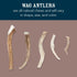 Amazon Brand - Wag Dog Elk Antler Chew, Naturally Shed, Whole, Large 8-9.5 inches (Best for Dogs 30-45 lbs), 3.60 Ounce (Pack of 1)...