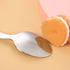 VANRA 2 Pieces Children Fork Spoon Set with Travel Case for Lunch Box, 18/8 Stainless Steel Kids Silverware Flatware Set Kids Utensil Set for Scho...